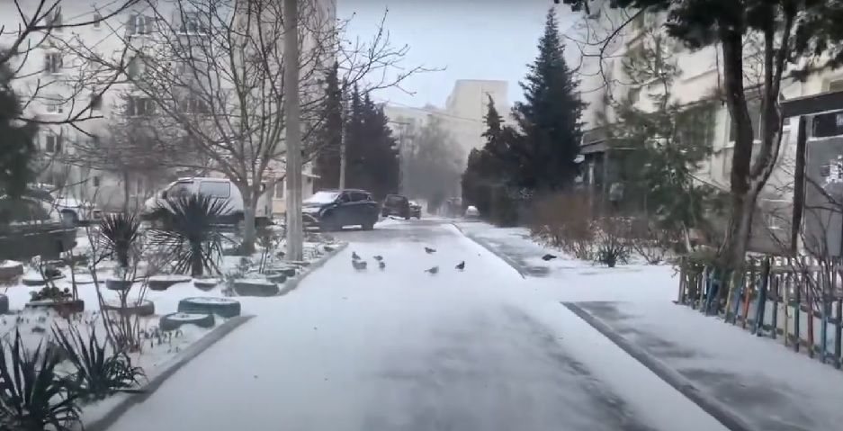 ������ �� 24 �������: � ����������� � ����� ����� �� ������