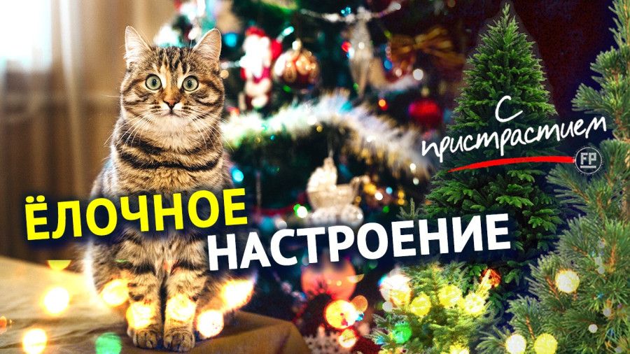 �� �� �� ����, ��� ����� �� ������ � � ��� ������������� � �����������?