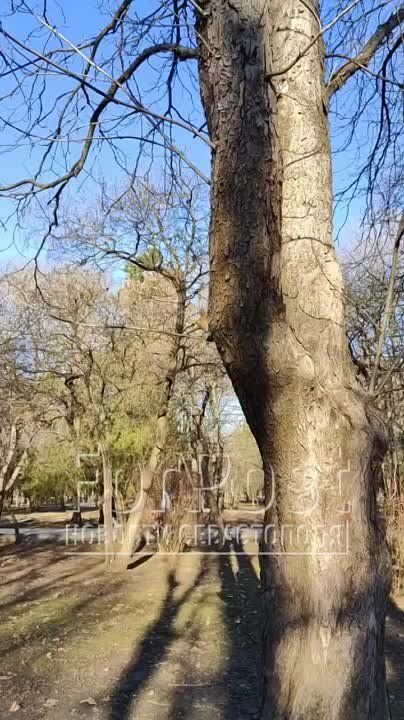 ����� �� ����� ����� � ������� ������: ����� �������������� ��������� ��������� ����������� ������ � �����;)