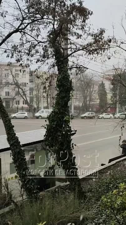 �������, � ��� ��� ������ ���� � ���� ����! ��� � ����� �������?