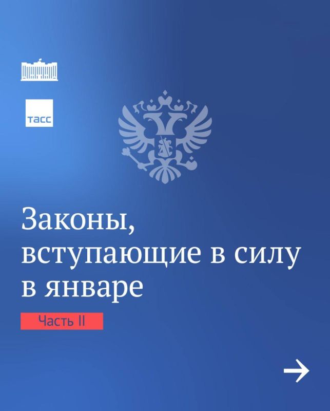 �������� ������: ����� ������ �������� � ���� � ������ 2024 ����