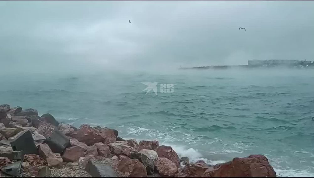 ���� �������� ���� ����� �������������� ������ � ������ ����� �����