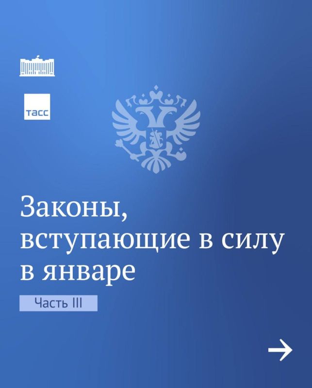 �������� ������: ����� ������ �������� � ���� � ������ 2024 ����