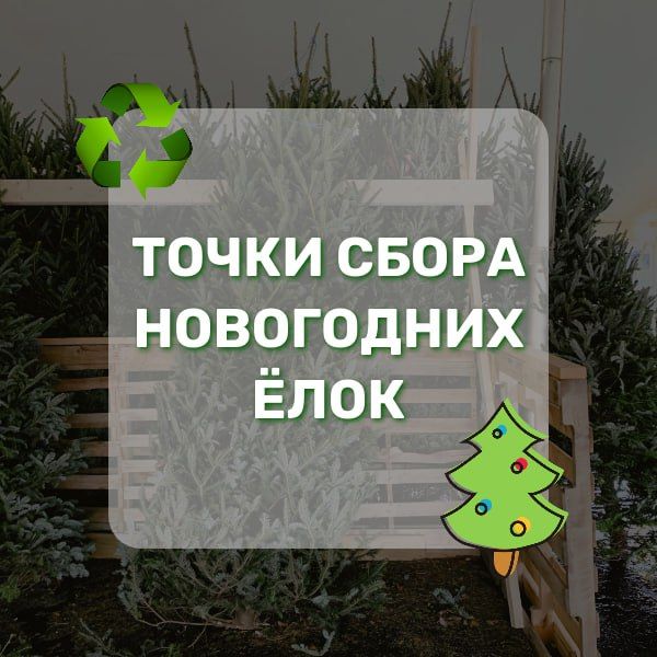 � ����������� ��� �� 11 ������� � ������ ������ ���� ������ ����� ����� ���������� ����
