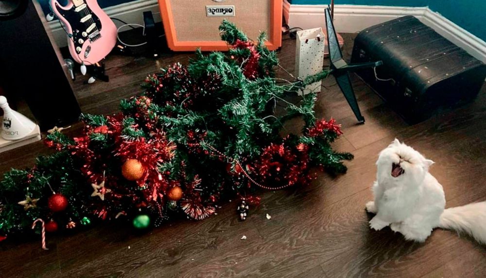 ������ ���� ������: ���������� ������� ���������� �� ��������� �����������