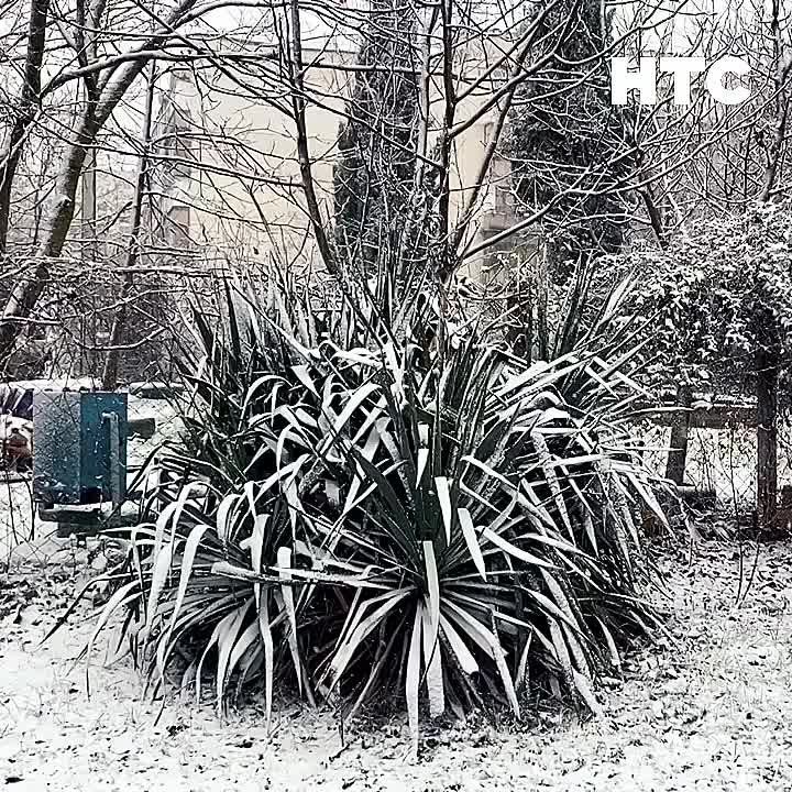 ��������� ������� ������ ������ � ����������� � ����� ������� ������ ����