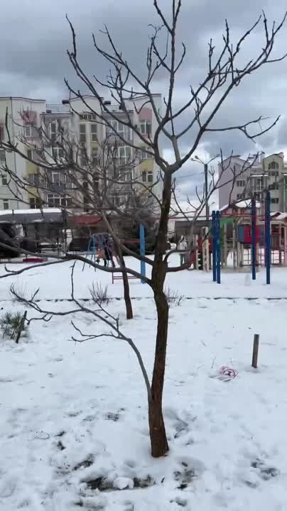 ������������ � �����������, ������� �� ������ ���� ���������