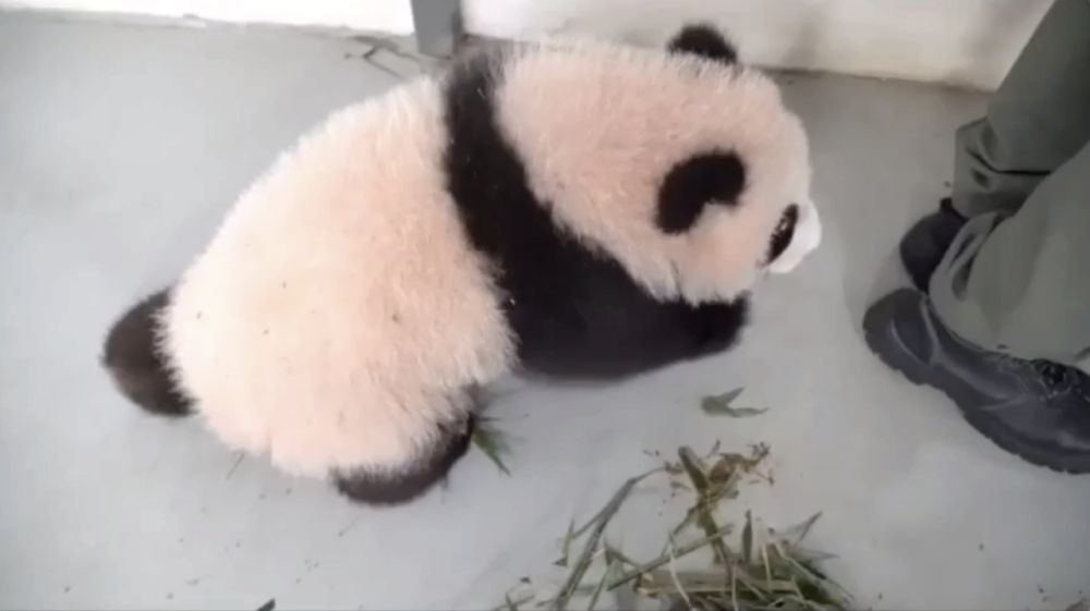 � �������� ������ ����� ������ ������ � ��������