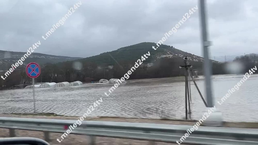 ���� ׸���� ����� �� ������� � ������ �������� �������
