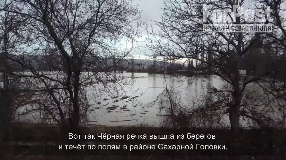 ��� ��� ��������� ������� ���� ׸����