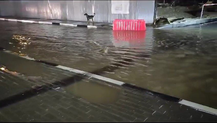 ��-�� ���������� ������� � ����������� �������� ��������� �������������
