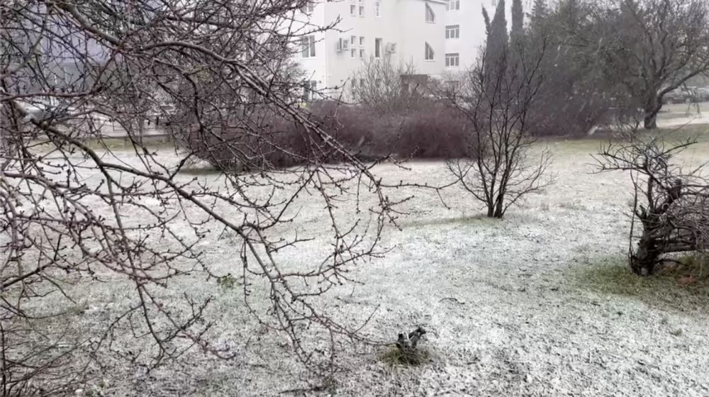 �� ������� ����������� ��������� ����������