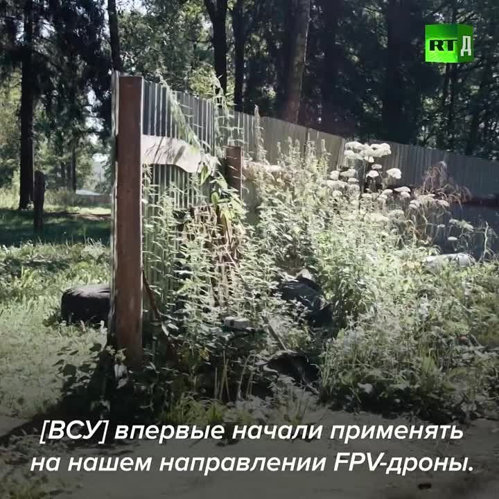 �������� 2014 ���� � ����� ���� �� �� ��������, � ����� �� ��������, ����� ��� ����������� � ��� ����