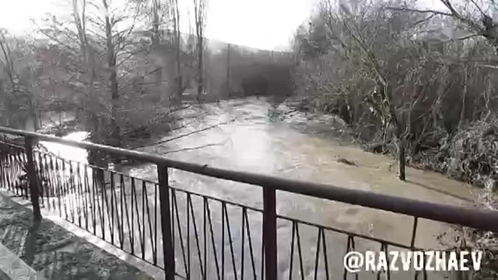������ ���������: ��������� ����, ��� �������� � ��������� ������� � ����������� ����������� �����