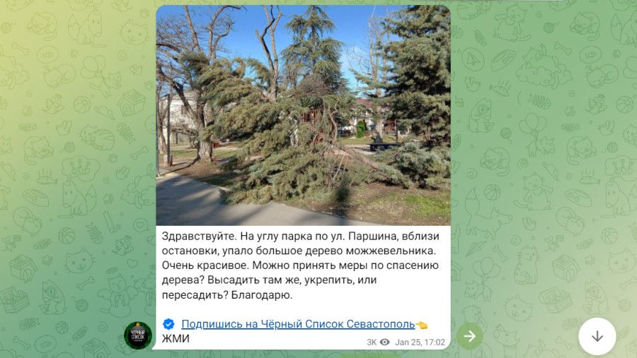 � ����������� ������� ������ � ��� �������