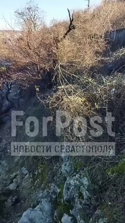 � ������ �������� ����� ��������� ������ � ����� ��������� ����� � ���������� "������"