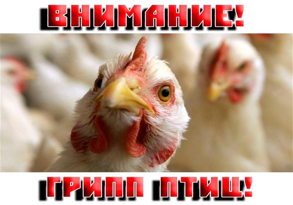 � ����� ����������� ��������������� ������ ���� �� ���������� ������ �����������, ������ ���: