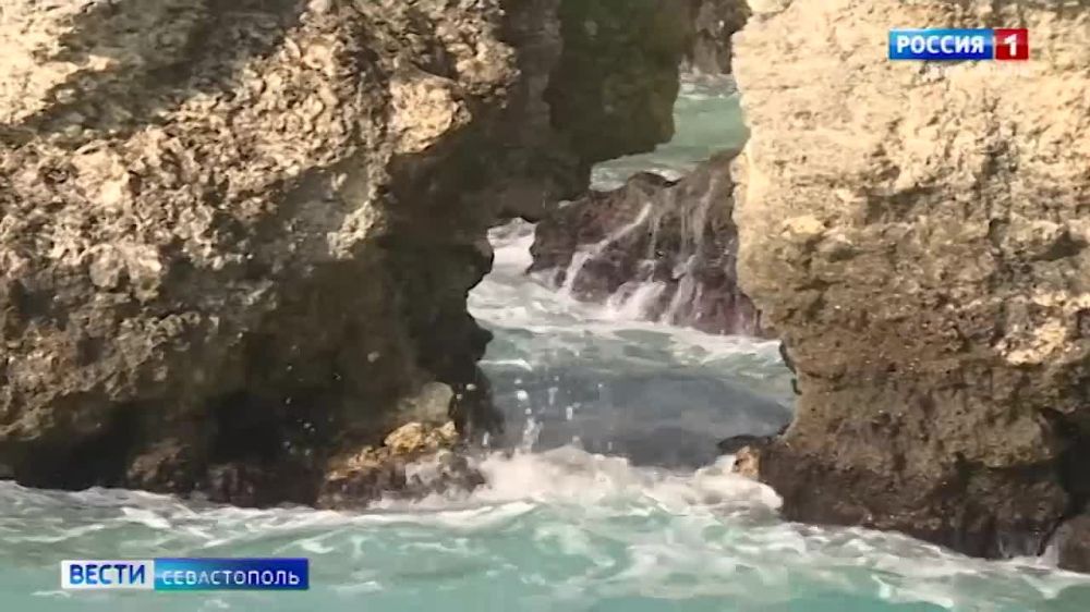 ����� ��������� ������� � ������� ����� � ������ 35 ��������� ������� ��������