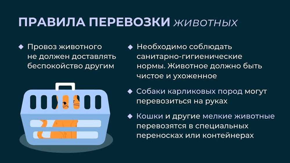 ��� �������������������� ���������� � �������� ���������� ������ ��������� ������, ������ � �������� � ������������ ����������