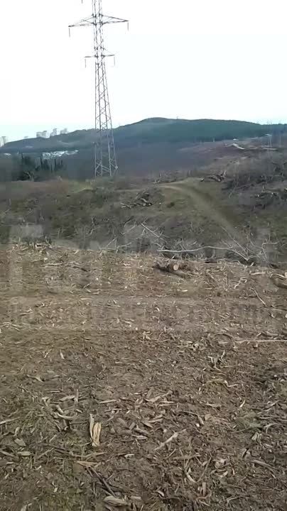 #���_�����. ��� �� ������ �������� �������� � ������ ���� ������� ��������� ������ ������