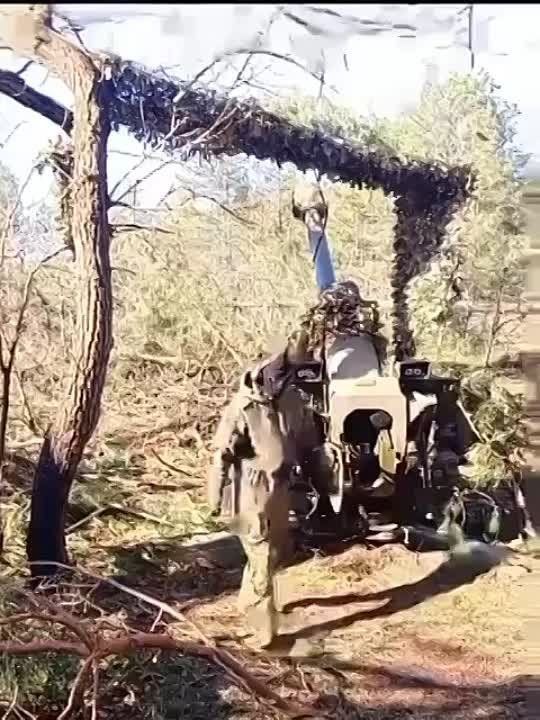 �� ��������. �� ��������� ������� �������. �� �������� �� �����������... �����