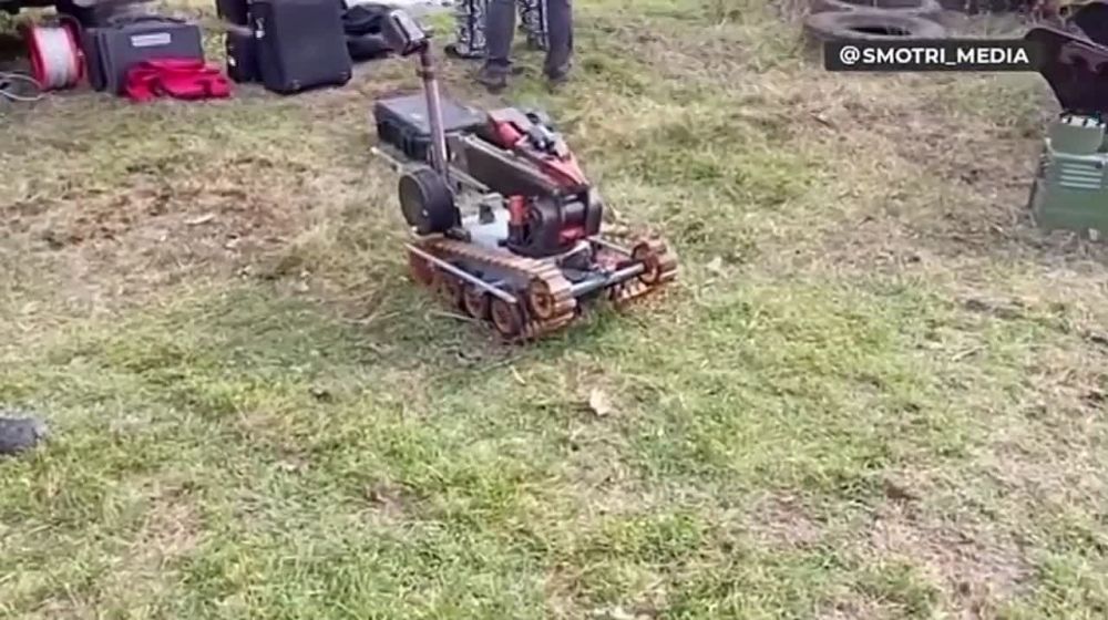 ��� ������ �������������� ����������� ������ ������ ���