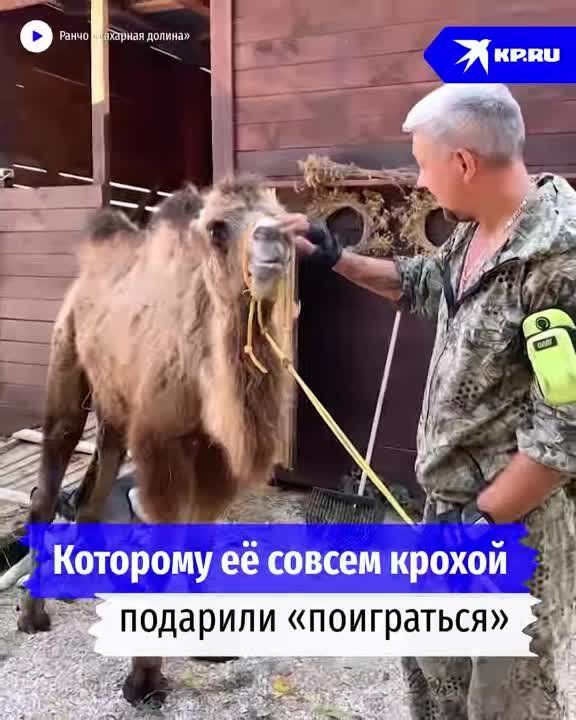 ������� ������ �����������, �������� ��������� �� ����