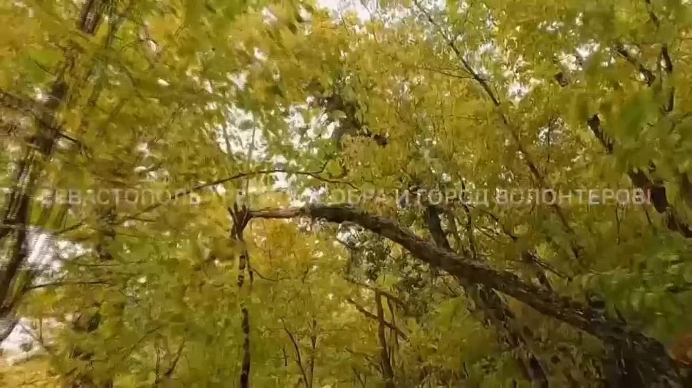 ������ ����������: ���������� ��� ������ ������� �� ������ 2023 ���� ����������������� �� ������ �����������