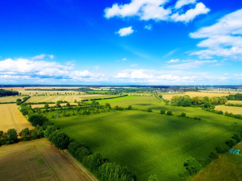 ��������� ������� ��� �������������: ��� �������, �� ��� �������� ��������
