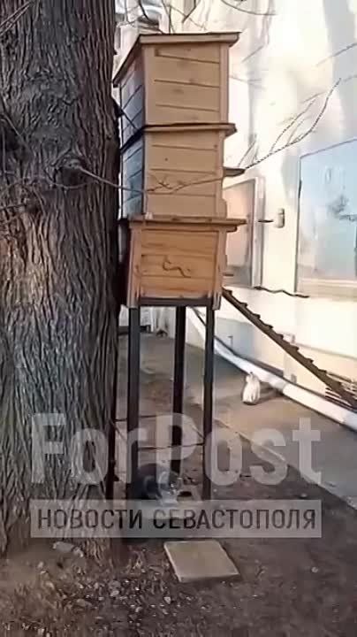 ��� ����� ������� ��������� � ����� �� �������� ����������� �������� ��������� �� ���������� ��������