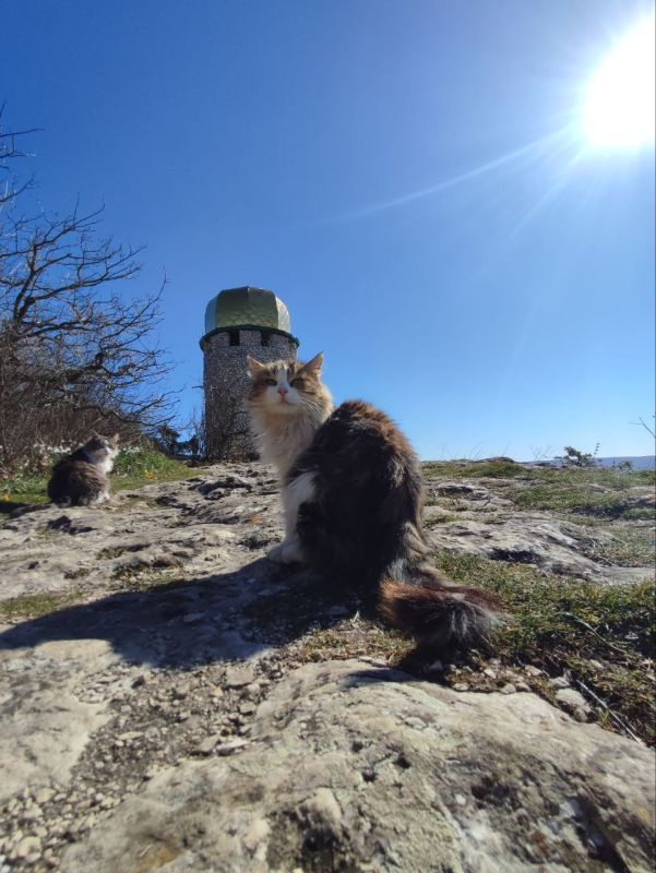 � ������ ����� ��������!