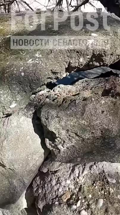 #���_�����. ��� ��������� ����� �� ��. ������������ �������� ���� �8 � ������ �����������. ����� � ����� �������� �� ������ �����, � ������ "�������" ����� ����������� �������� ����