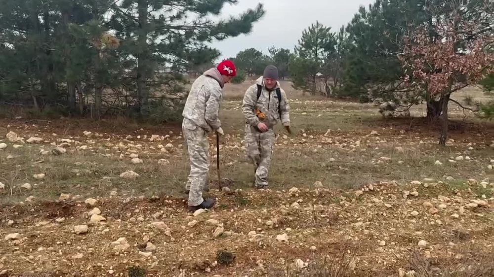 ������� ������: � �������� ����� ��������� ����� ������� ������� ������