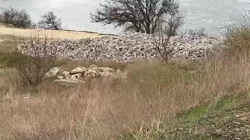 �������� ������ �� ����������� ��������� ������� � ������ ������� ��������� � 9 ���
