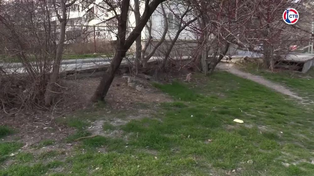 ������ ��������� ��������� ������ ��������������� ���������� �� ����� ����������
