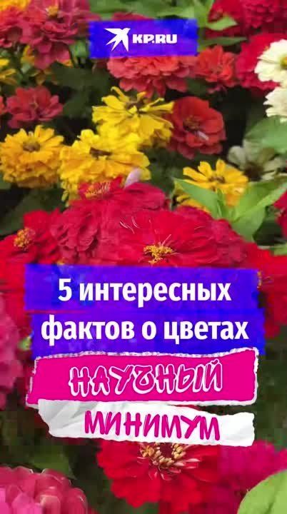 ����� 8 ����� � ����� ��������� ���� � ����!