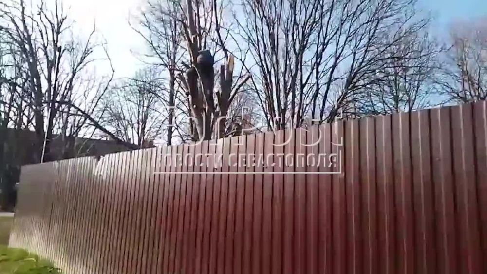 � ��������������� ���� �������� �������� �������� ������� ��� ������� ���������� ����