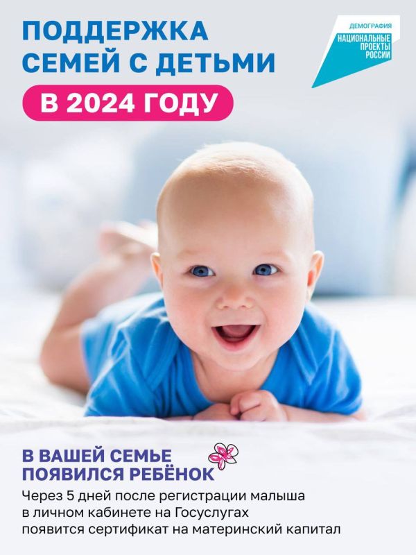 �������� ������: ��������� ������ �������� ������������ ����� ������� 2024 ��� � ����� �����