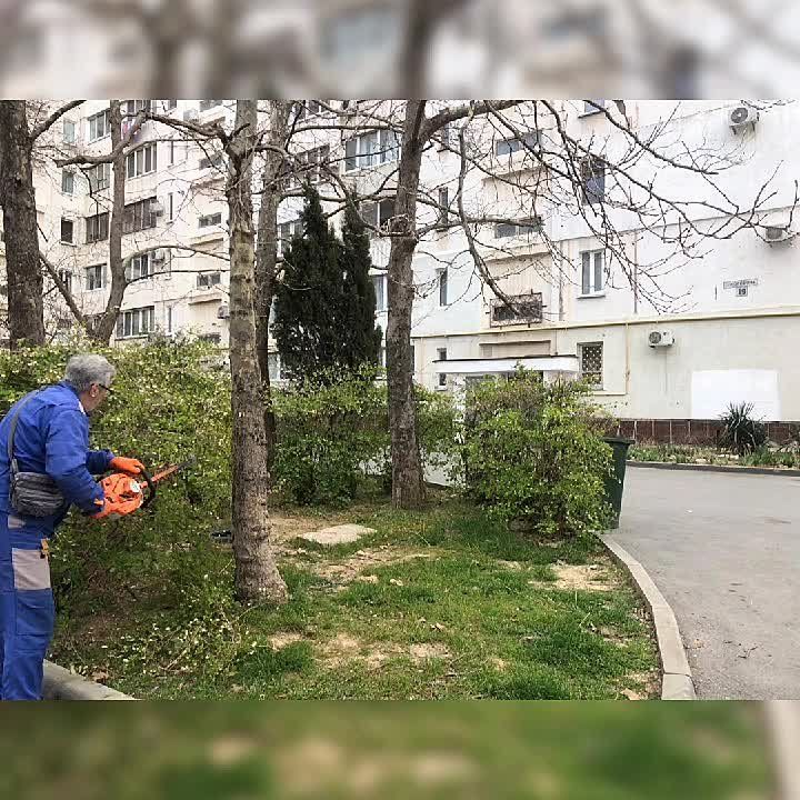 � ������ ���� � ������ ��� ������ ��������� ������ ����� - ����������� ���������� ����� ������: ���������� �������, �������� ����������, ������ ��������������� � ���������� ���������� ��������� ���������� ���� �� ��������� �������������