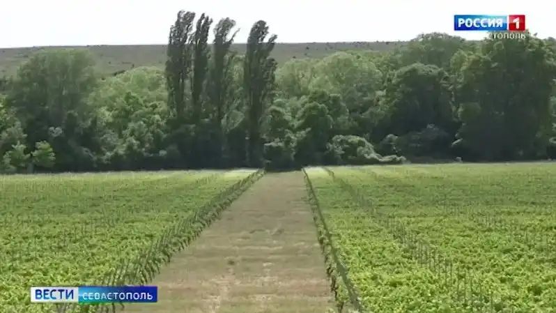 ��������� ����� ��������� ������� ����� � ����������, ����� ��������� ��������