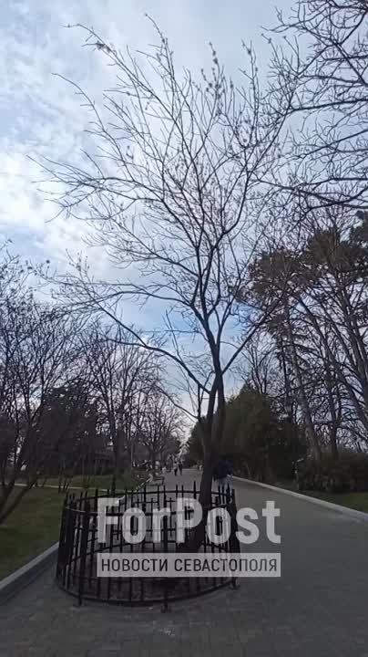 �� ��������� ������� ����� ���������� 100-������ ������� � �������� ������� �����������, ���� �� �������� ��������, ���������� ������� ������������� �����