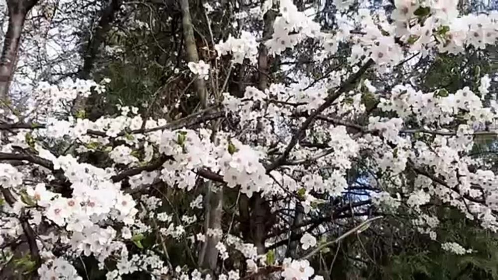������������ �������� ������-������� �������� �����
