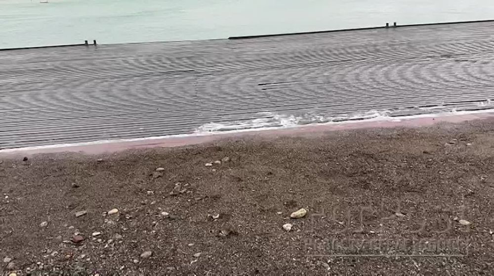 �������� �� ��������� � �������, �������� ��������, ������������ �� ������, ��� ������������