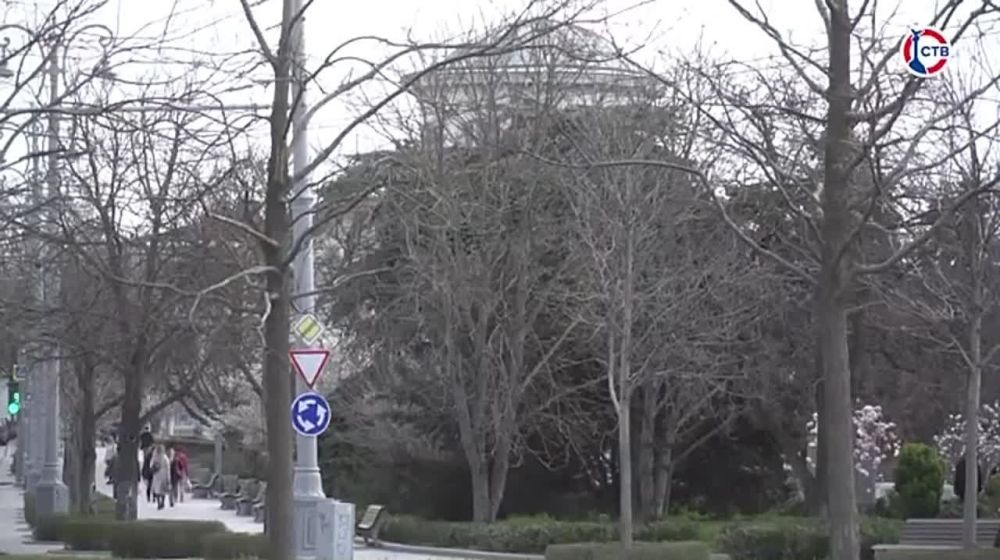 � ����������� ����������� ����������� �������� �����