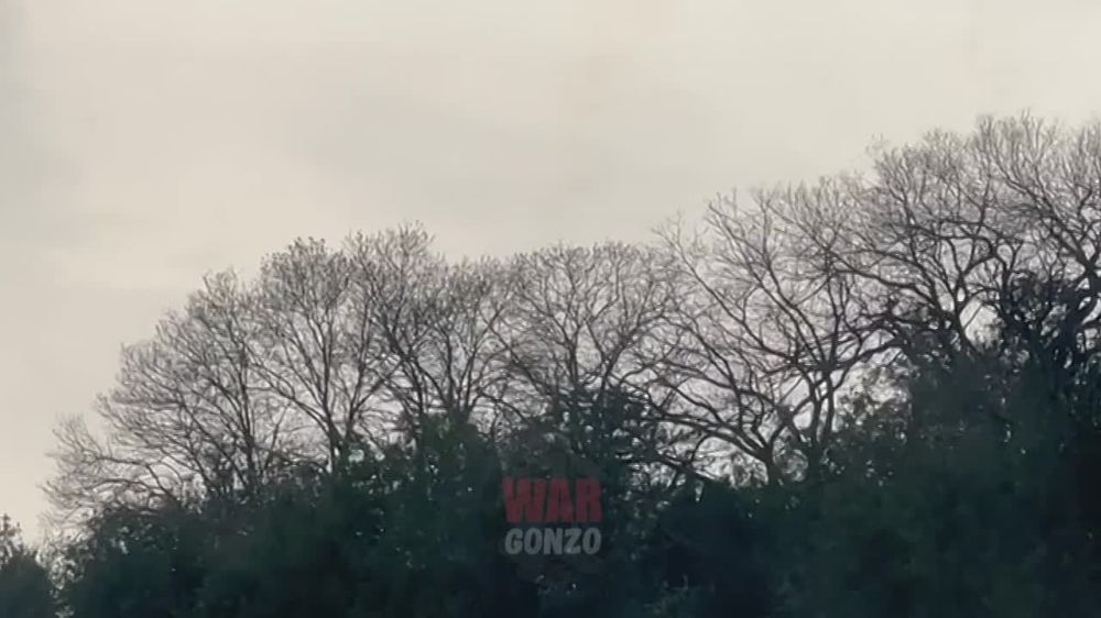 WarGonzo: � ����������� ���� ������� �������