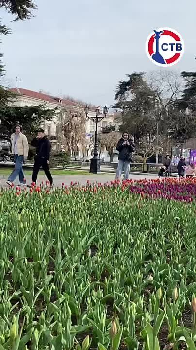 ������������� ���������� ������������ ���������� �������