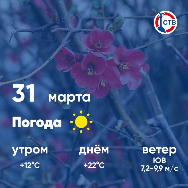 ������ ����, �������������! �������, 31 �����, � ������ ��������