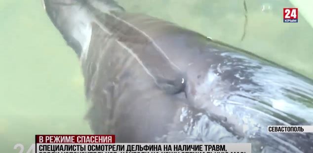 � ����������� ������� �� ����� �������������� �� ����� ��������