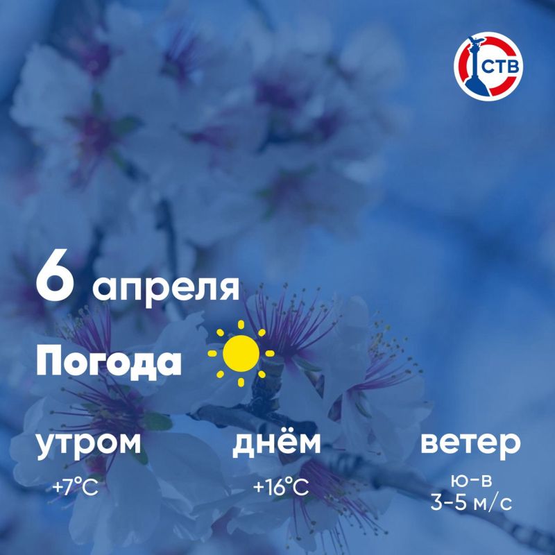 ������ ����, �������������! �������, 6 ������, � ������ ��������