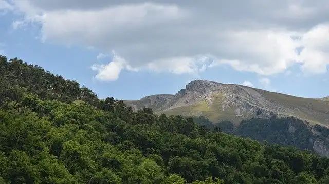 ��������� ������������� ������������� ������� ����������� ����